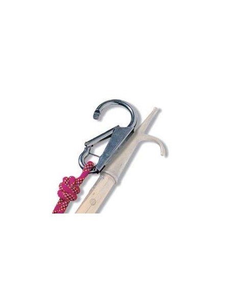 Mooring hook