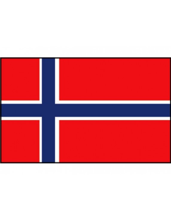 NOORSE VLAG 