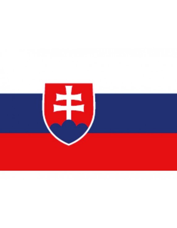 SLOWAAKSE VLAG 